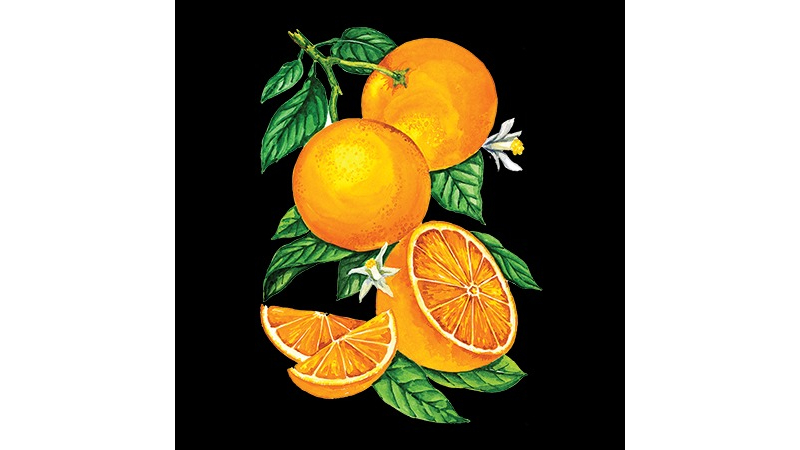Сироп Апельсин 1 литр - фото - 1